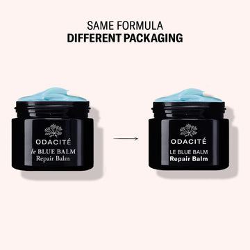 Two black jars of Odacité le Blue Balm repair balm with blue chamomile and shea butter, showing the updated label design.