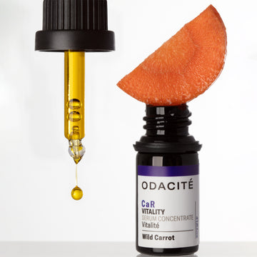 Dropper with yellow serum, a carrot slice, and Odacite Vitality Wild Carrot CaR Serum Concentrate bottle with orange liquid.
