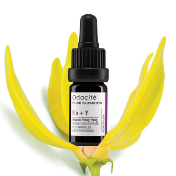 Black Odacite Smooth + Glow Mature Skin Duo bottle placed inside a yellow flower.